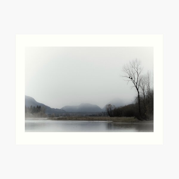 Solitude Art Print