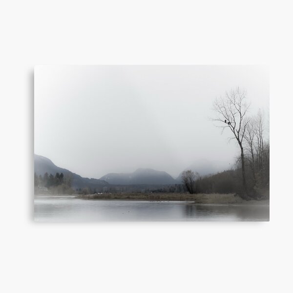 Solitude Metal Print
