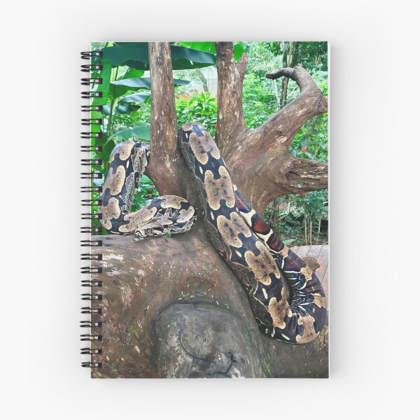 Item preview, Brazil - Foz do Iguaçu - snake in tree designed and sold by renprovo.