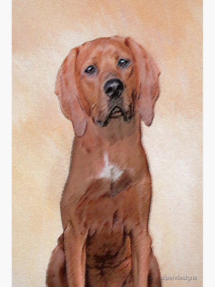 Redbone coonhound cheapest pet portrait original animal wall art painting