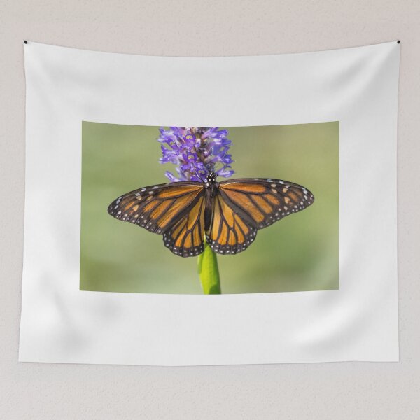 Item preview, On Butterfly Wings designed and sold by Ollivrosa.