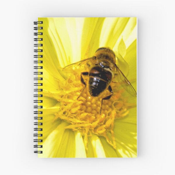 Item preview, Hoverfly on Yellow Dahlia    Dorset UK designed and sold by lynn carter.