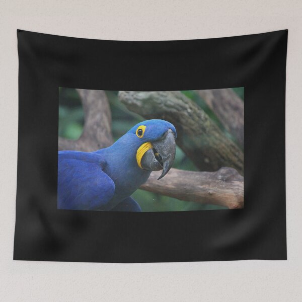 Item preview, Blue Hyacinth Macaw designed and sold by LeanneAllen.