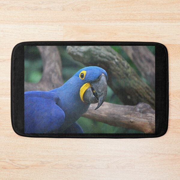 Item preview, Blue Hyacinth Macaw designed and sold by LeanneAllen.