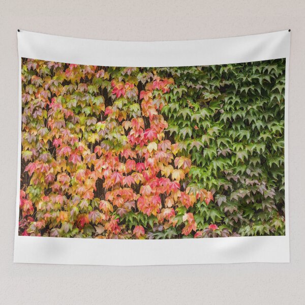 Item preview, Onset of Autumn 2 designed and sold by Matt Malloy.