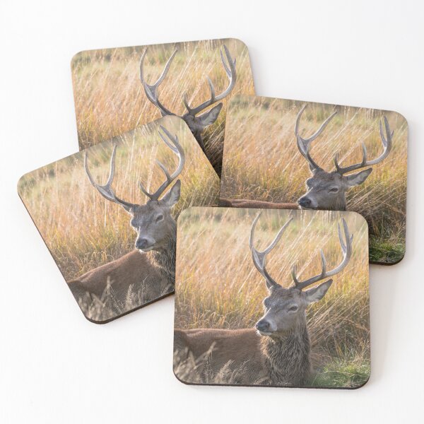 Item preview, Autumn Deer designed and sold by Matt Malloy.