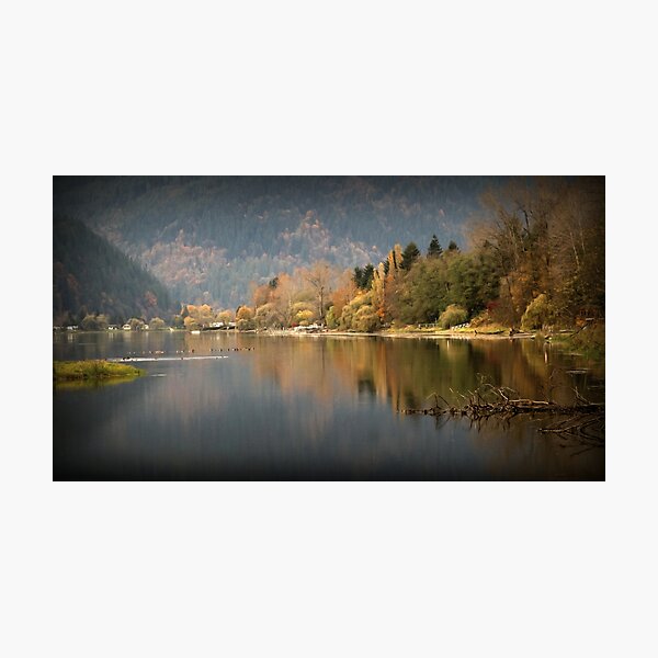 Resting Ducks in the Fall Photographic Print