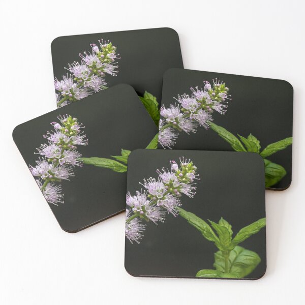 Item preview, Mint Flower designed and sold by Matt Malloy.