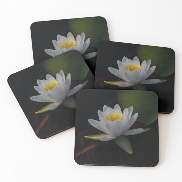 Item preview, Illuminated  designed and sold by Ollivrosa.