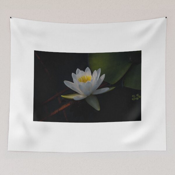 Item preview, Illuminated  designed and sold by Ollivrosa.