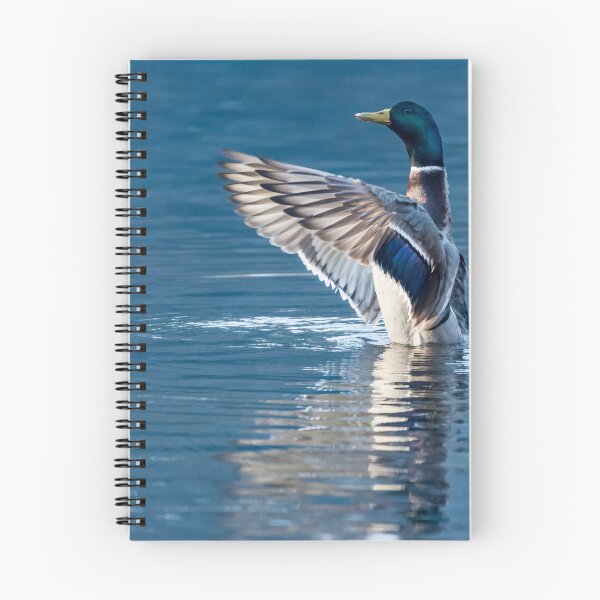 Item preview, Mallard Stretching designed and sold by Matt Malloy.