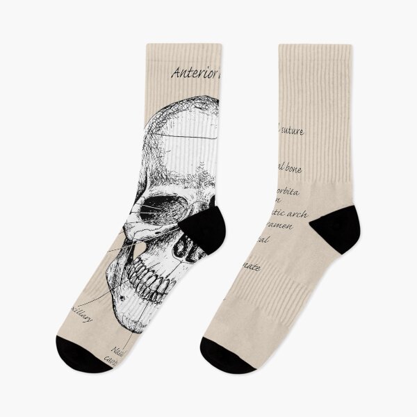 Item preview, The main bones of the human skull. designed and sold by Squirrox.