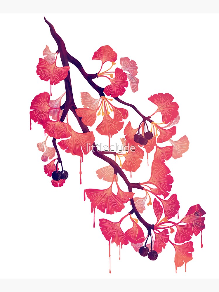 O Ginkgo by littleclyde