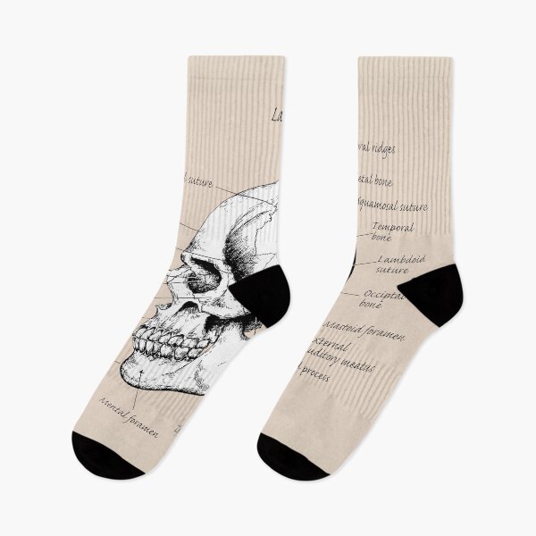Item preview, The main bones of the human skull, side view. designed and sold by Squirrox.
