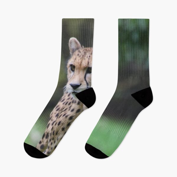 Item preview, Cheetah 010 designed and sold by JAMFoto.