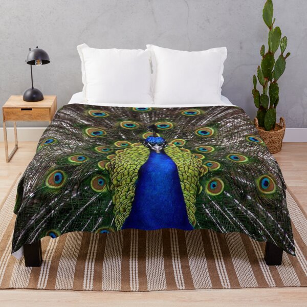 Item preview, Peacock 001 designed and sold by JAMFoto.