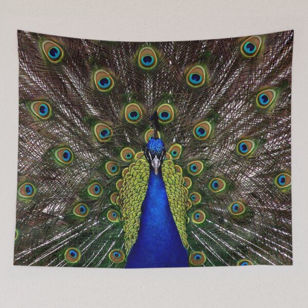 Item preview, Peacock 001 designed and sold by JAMFoto.