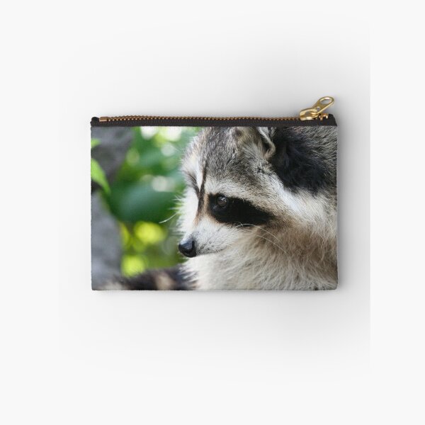 Item preview, Raccoon 003 designed and sold by JAMFoto.