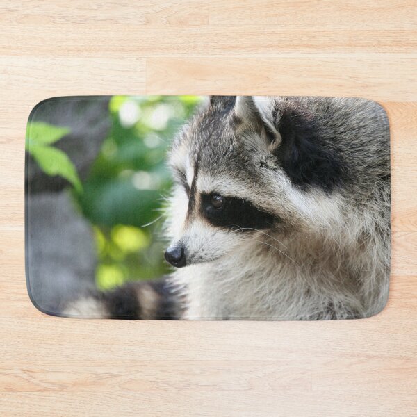 Item preview, Raccoon 003 designed and sold by JAMFoto.