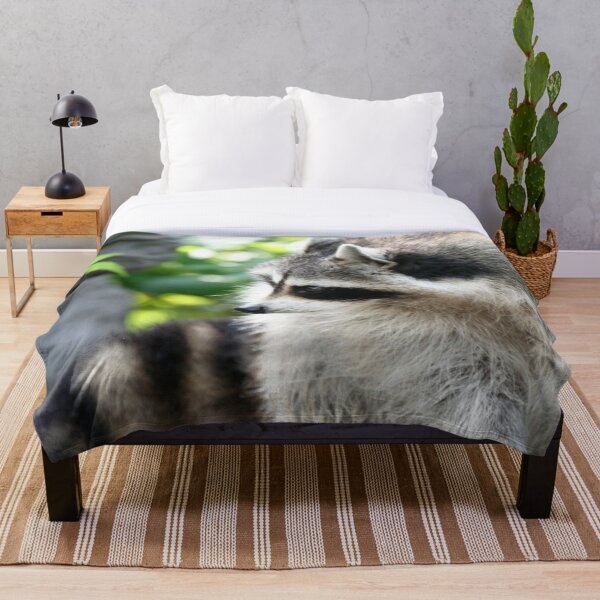 Item preview, Raccoon 003 designed and sold by JAMFoto.