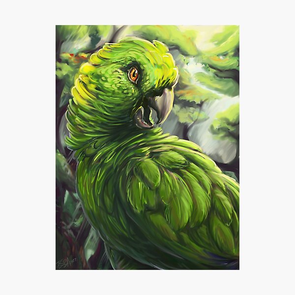 Item preview, Amazon Parrot designed and sold by Fable.