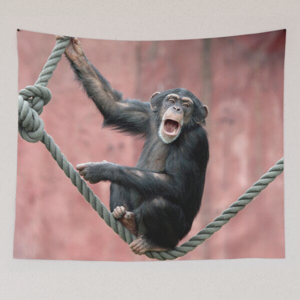 Item preview, Chimpanzee 004 designed and sold by JAMFoto.