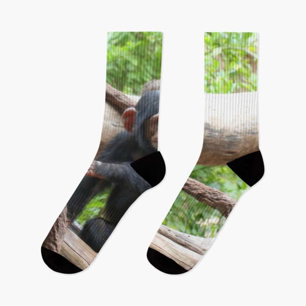 Item preview, Chimpanzee 001 designed and sold by JAMFoto.