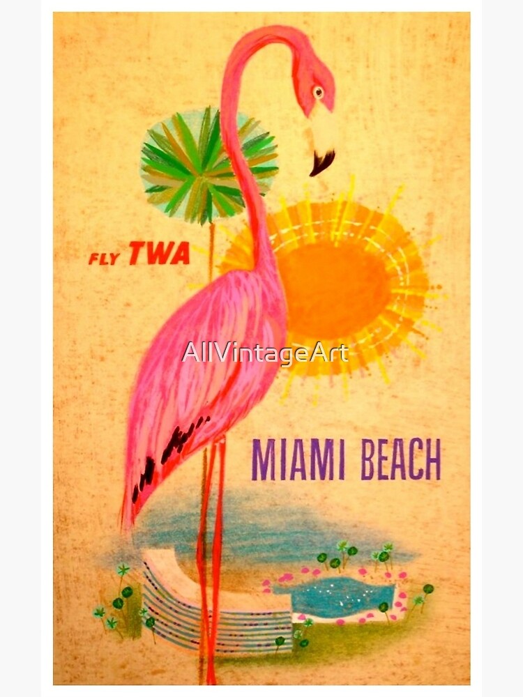 Vintage Miami Beach Florida Postcard