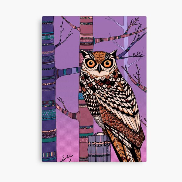 Owl Canvas Print