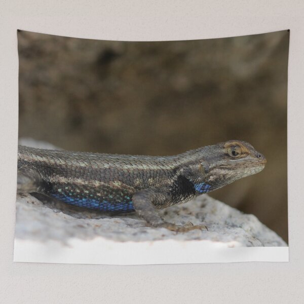 Item preview, Eastern fence lizard designed and sold by cuprum.