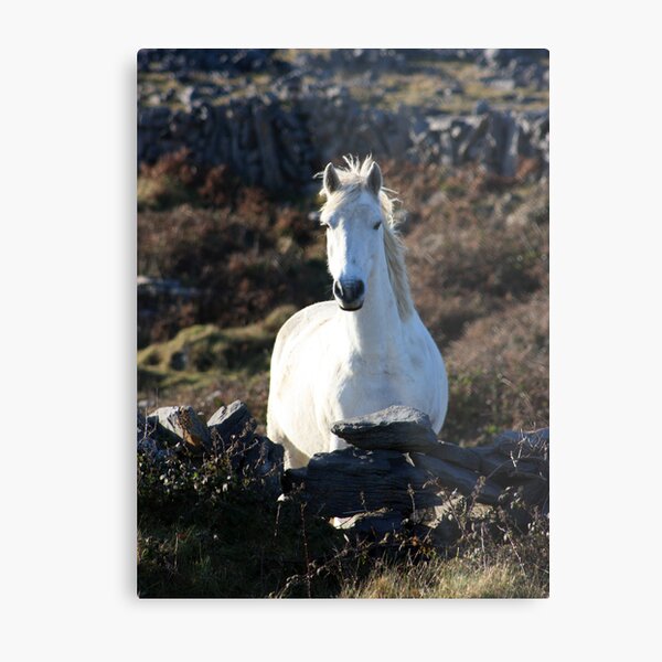 Draíocht - Magic Metal Print