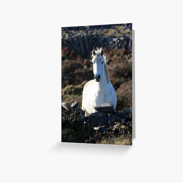 Draíocht - Magic Greeting Card
