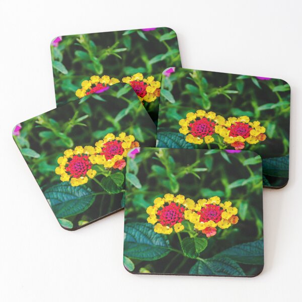 Item preview, Matching pairs designed and sold by SRosuphotos.