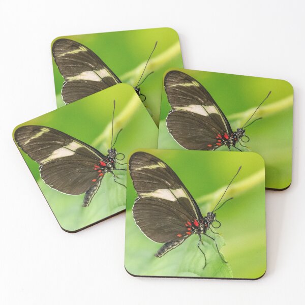 Aperçu de l'œuvre Papillon closeup créée et vendue par iCimages.net.