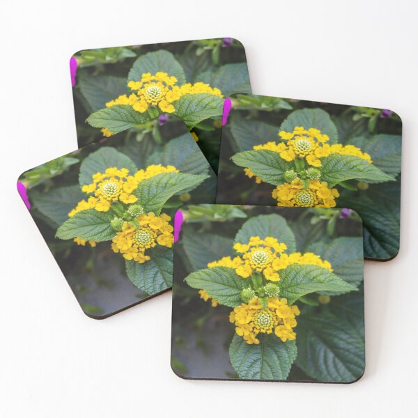 Item preview, Self mirroring designed and sold by SRosuphotos.