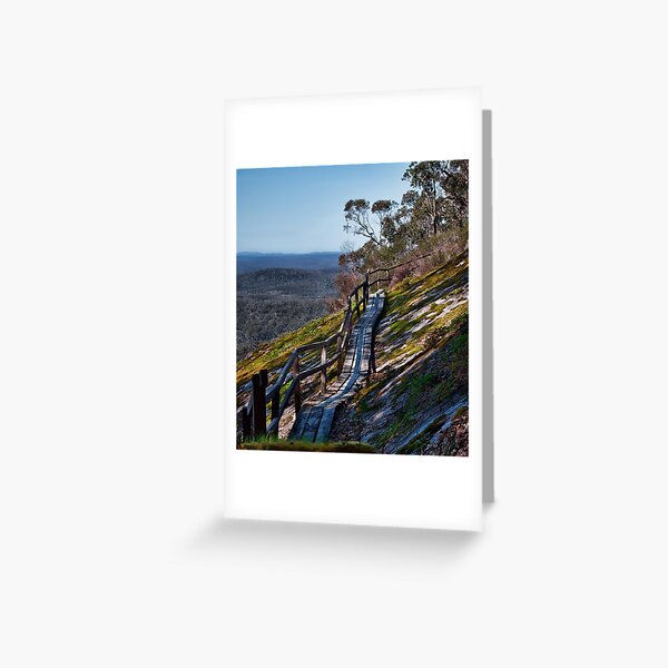 "Southern Wilderness" Greeting Card