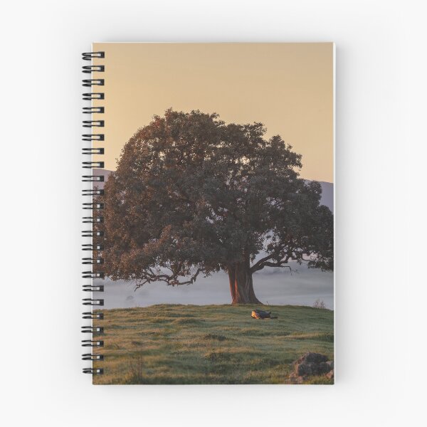 Item preview, The lone tree of stonelea designed and sold by Donovan Wilson.