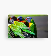 Even Rainbows can see Canvas Print