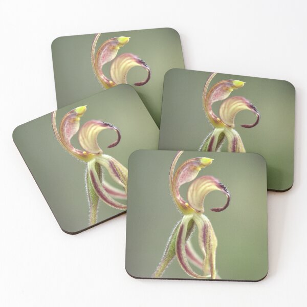 Item preview, Spring Has Sprung designed and sold by Ben Loveday.