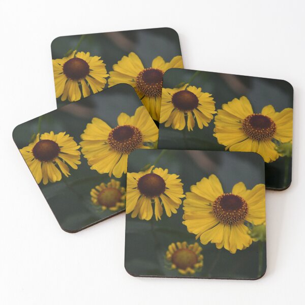 Item preview, Butterpat flowers ...helanie sneezeweed Asteraceae! designed and sold by Poete100.