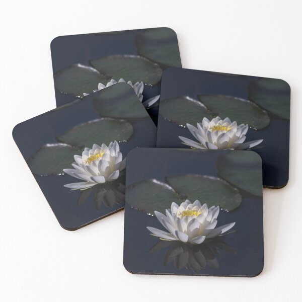 Item preview, Water Lily in Dark Waters designed and sold by Ollivrosa.
