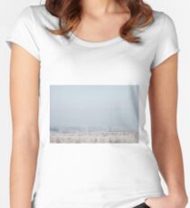 Freezing Cold Weather Women's Fitted Scoop T-Shirt