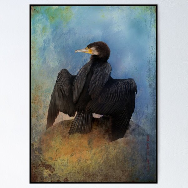 Item preview, Great Cormorant     Phalacrocorax carbo designed and sold by Bandicoot.