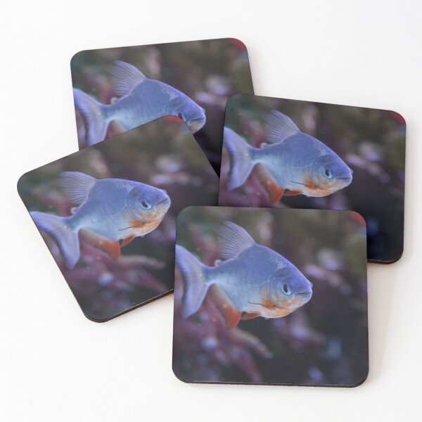 Item preview, Swimming Fish designed and sold by Allen Penton.