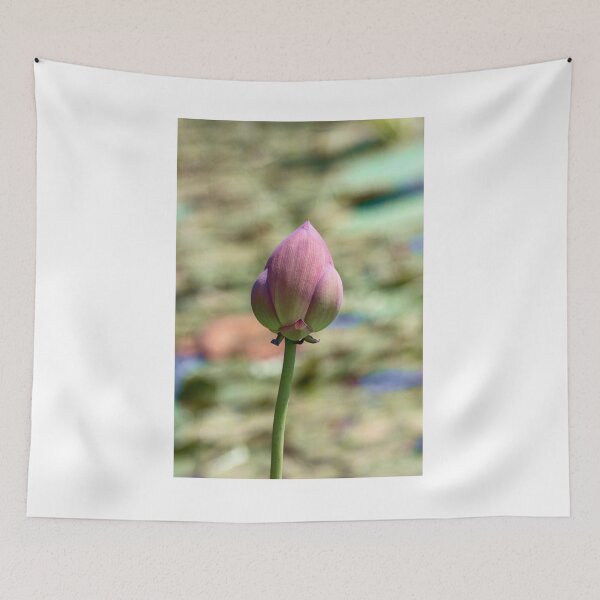 Aperçu de l'œuvre Lotus Bud créée et vendue par Ollivrosa.