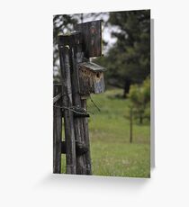 Bluebird Box Greeting Card