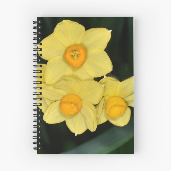 Item preview, Bright Yellow Jonquils designed and sold by imaginethis.