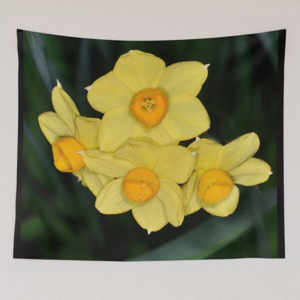 Item preview, Bright Yellow Jonquils designed and sold by imaginethis.