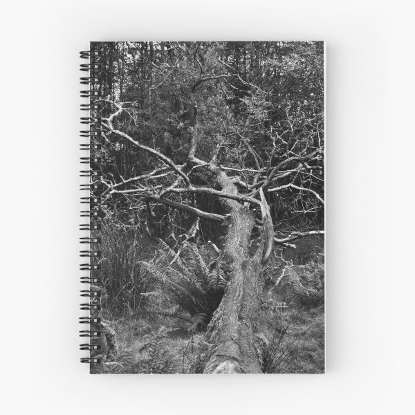 Item preview, Silver Tree designed and sold by Denise Abé.