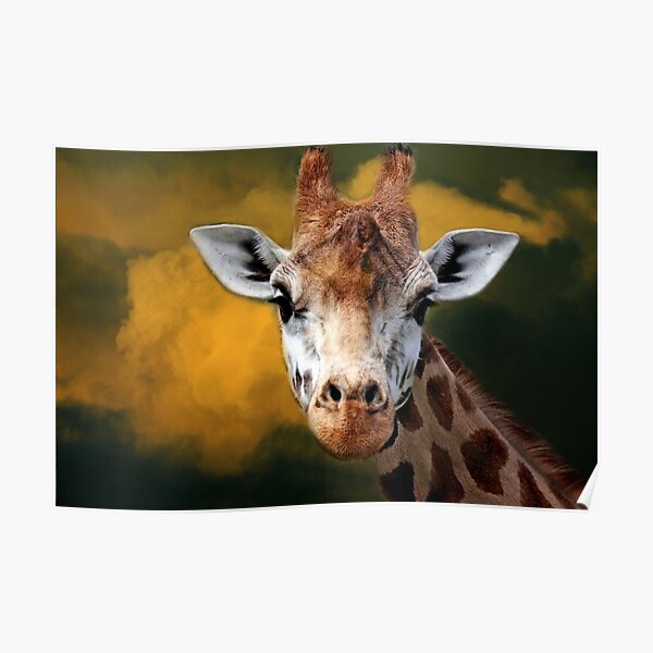 "Mr Giraffe..." Poster